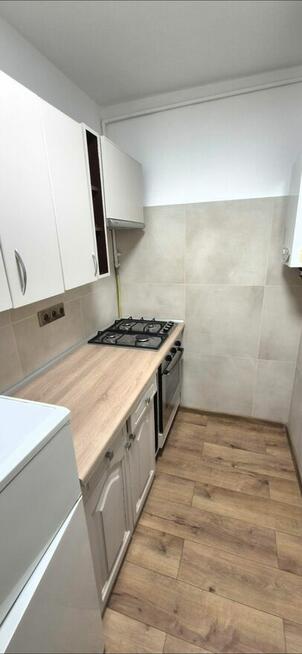 mieszkanie do wynajęcia Katowice -Ligota