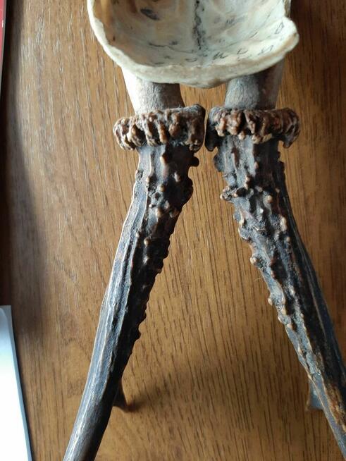 Rogi poroże sarny Jelenia kolekcja staroć antyk PRL