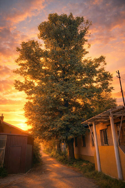 GRUNT INWESTYCYJNY – DĄBROWA GÓRNICZA - CENTRUM -Piłsudski