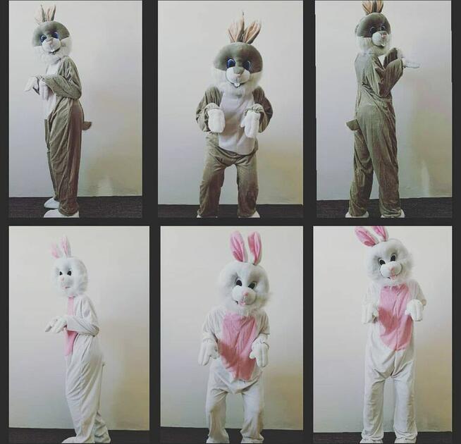 atrakcje animacje wielkanocne zając królik kostium