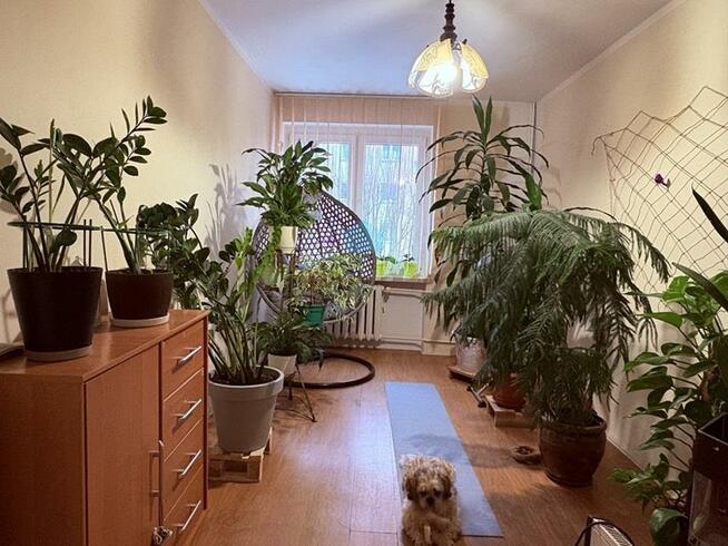 Mieszkanie Gniezno Tysiąclecie, Budowlanych