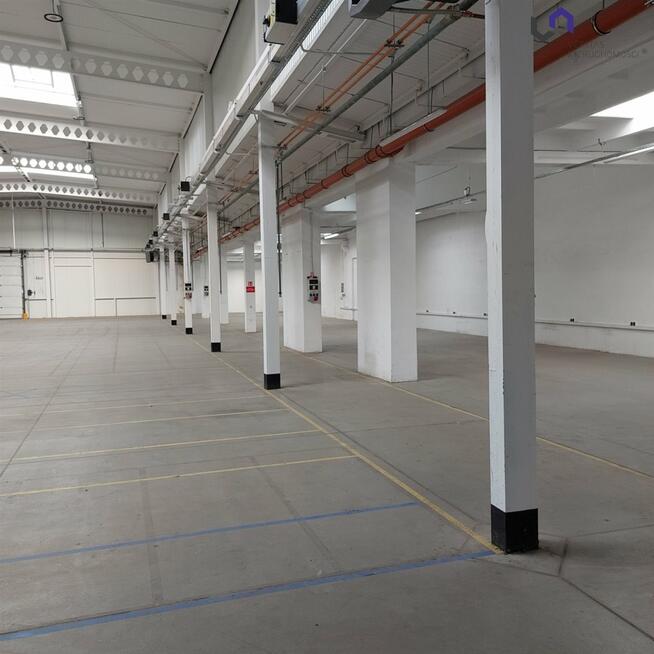 Lokal użytkowy Katowice Koszutka