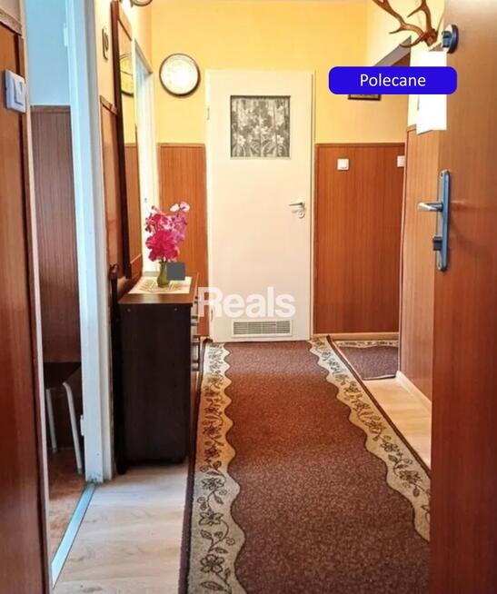 3 pokoje z loggią | Parter | Świetna lokalizacja