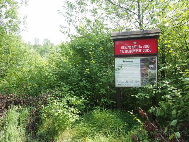 działka rekreacyjna