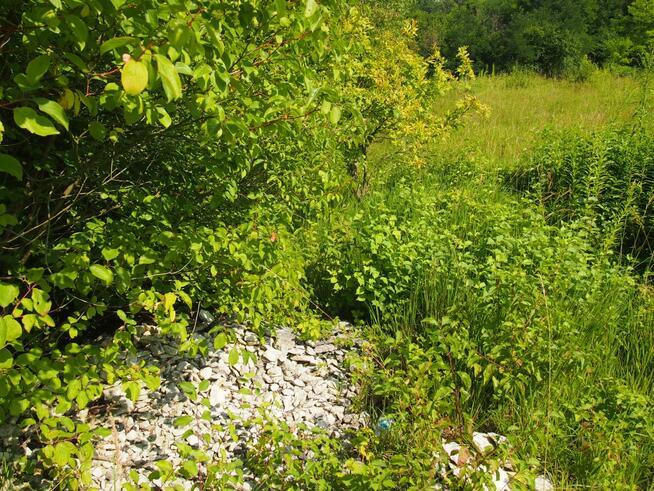 działka rekreacyjna