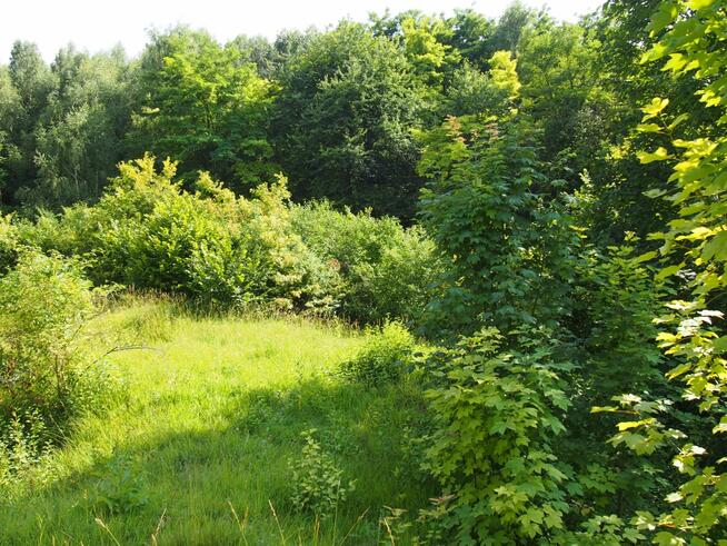 działka rekreacyjna