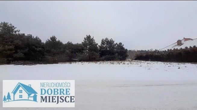 Dom Zielonka gm. Białe Błota