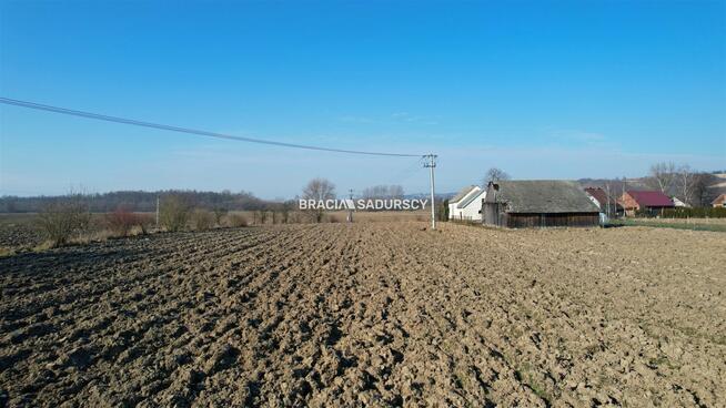 Działka Szczurowa Popędzyna, Popędzyna