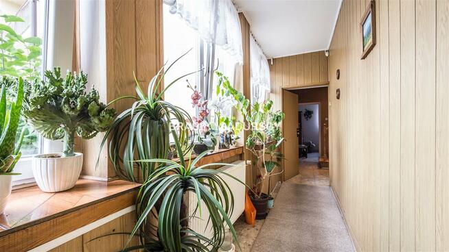 Dom Chrzanów Centrum, Kadłubek