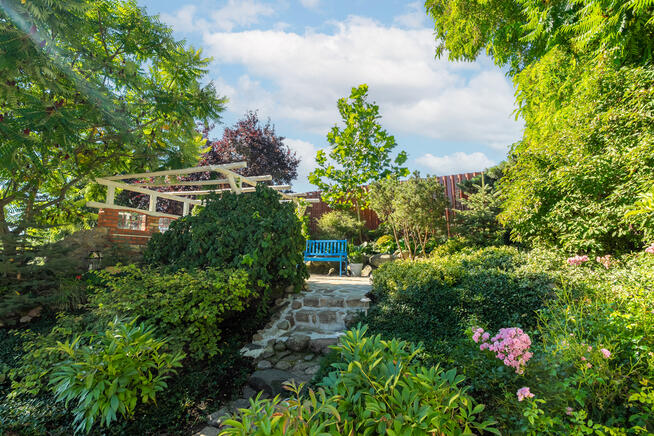 Twój raj z sauną i piaszczystą plażą!