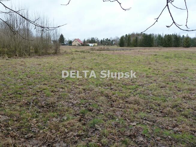 Działka usługowa Kruszyna gm. Kobylnica