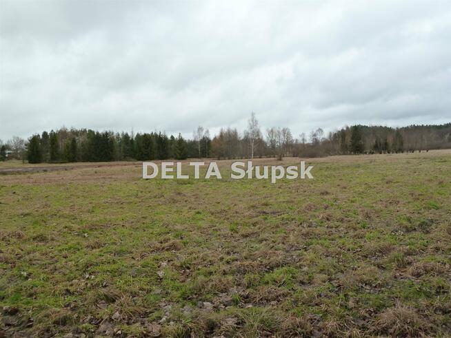 Działka usługowa Kruszyna gm. Kobylnica