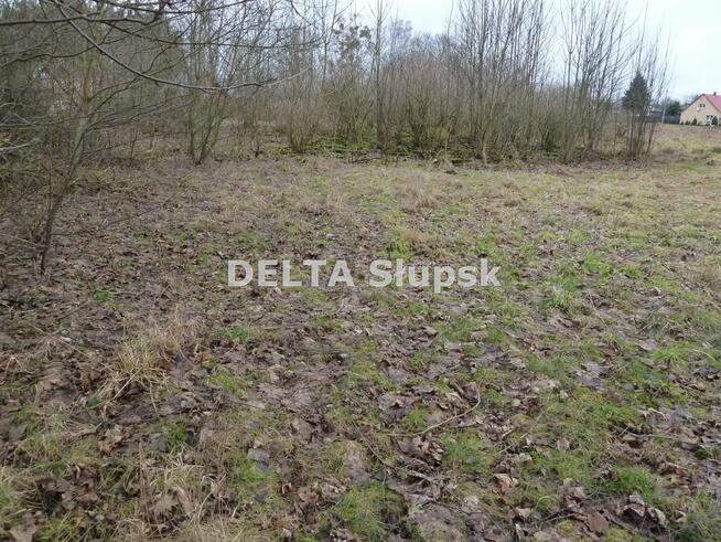 Działka usługowa Kruszyna gm. Kobylnica
