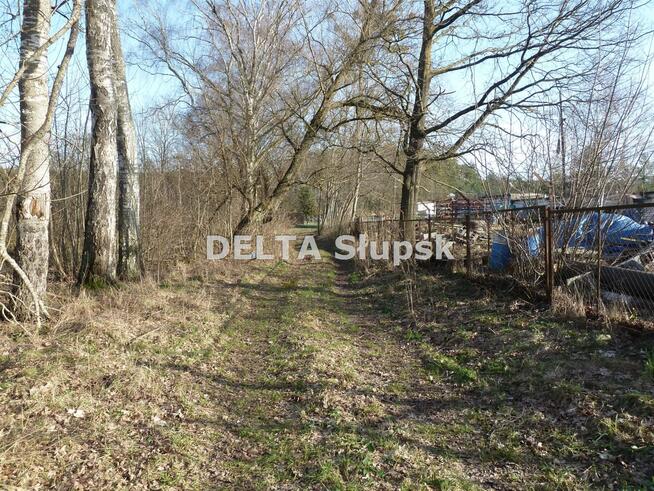 Działka usługowa Kruszyna gm. Kobylnica