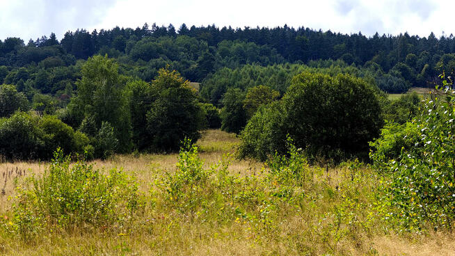 Działka inwestycyjna Małastów gm. Sękowa