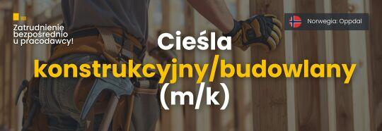 Norwegia, cieśla budowlany/monter konstr drewnianych (m/k)