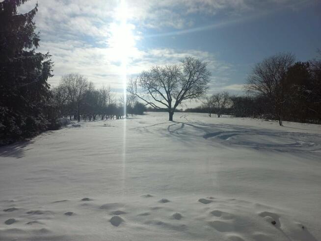 Dom po kapitalnym remoncie z działką 75arów