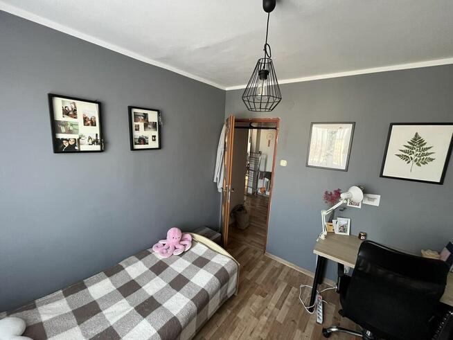 Pokój do wynajęcia