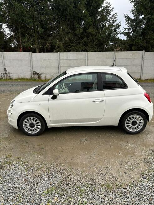 Fiat 500 1.0 Lounge 70KM Hybrid - Niski przebieg, serwisowan