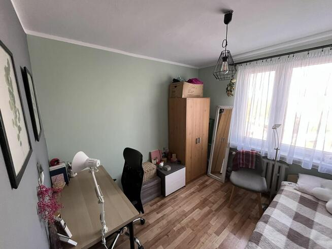 Pokój do wynajęcia