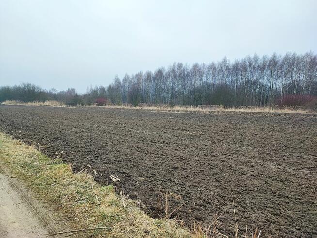 Działka inwestycyjna 1,8592 ha centrum Pyskowic