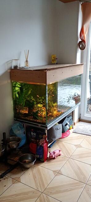 akwarium 350 l z obsadą