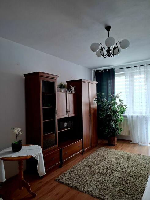 Wynajmę dwupokojowe mieszkanie Mszczonów