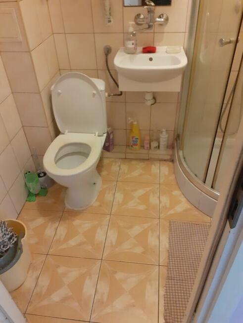 wynajem mieszkania 3-pokoje 50mkw w Gnieżnie