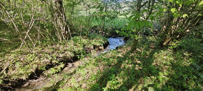 Wyjątkowa działka rolna z lasem i potokiem