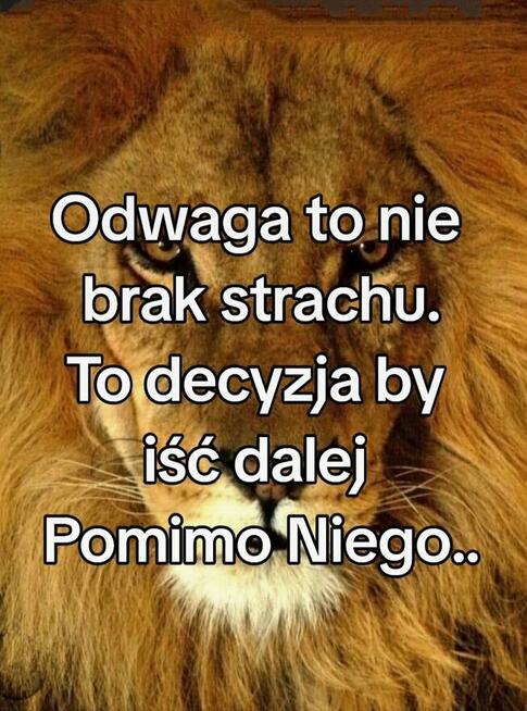 Chcę stworzyć coś stałego i trwałego