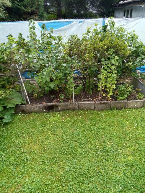 Sprzedam działkę gród łan Bytom