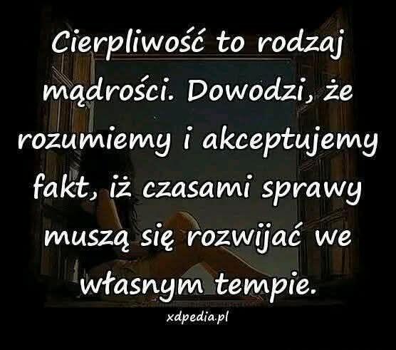 Chcę stworzyć coś stałego i trwałego