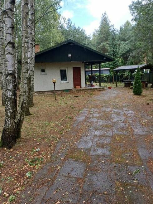 Działka z domkiem Mstowo ul. Borówkowa Chodecz