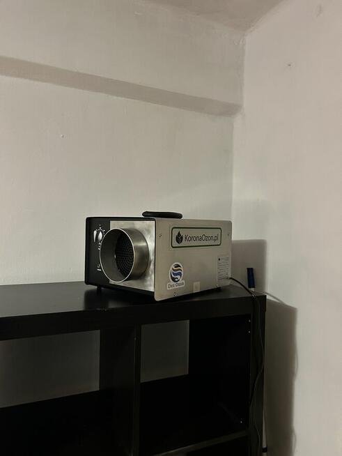 Zwalczanie pluskwy , karaluchów , ozonowanie, deratyzacja