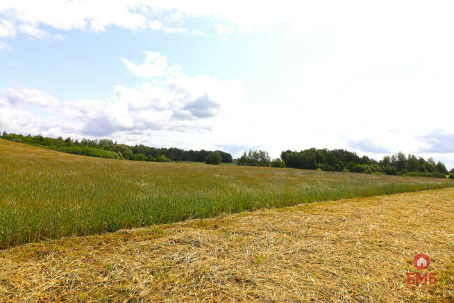 Działka inwestycyjna Garbas Drugi gm. Filipów,