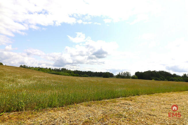 Działka inwestycyjna Garbas Drugi gm. Filipów,