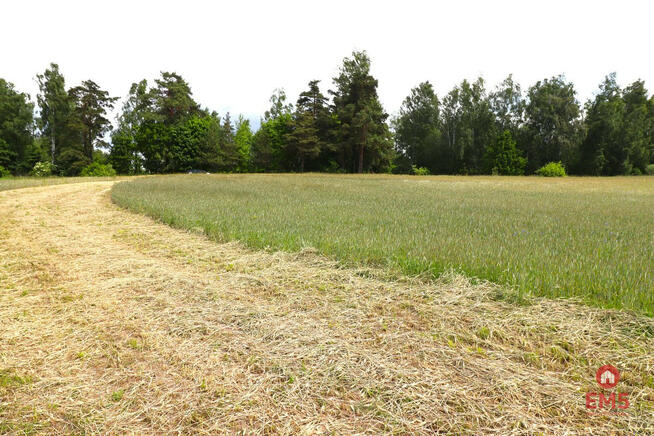 Działka inwestycyjna Garbas Drugi gm. Filipów,