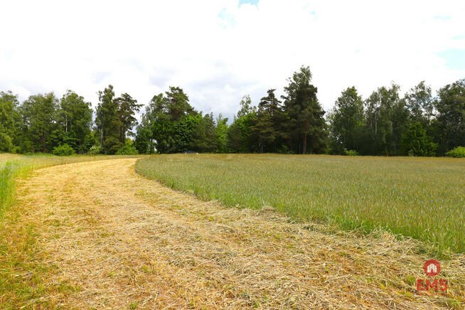 Działka inwestycyjna Garbas Drugi gm. Filipów,