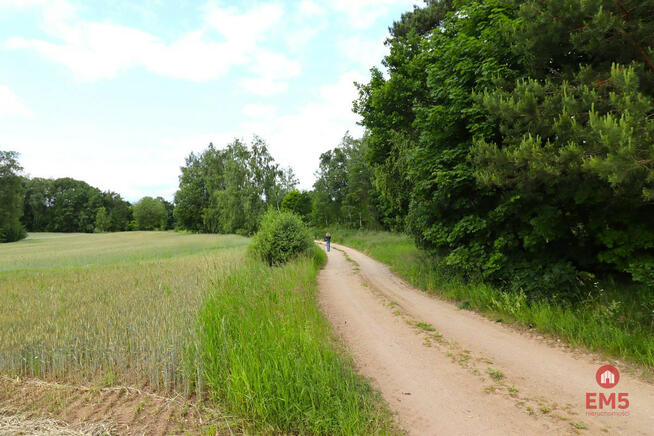 Działka inwestycyjna Garbas Drugi gm. Filipów,