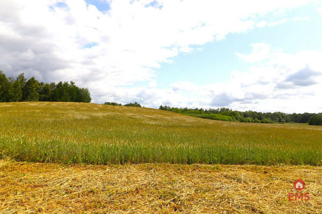 Działka inwestycyjna Garbas Drugi gm. Filipów,