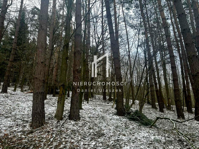 Działka leśna Pietrusza Wola gm. Wojaszówka