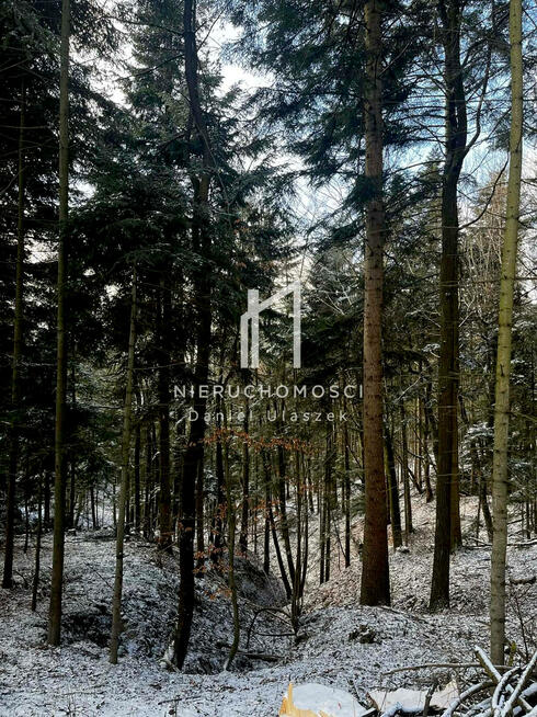 Działka leśna Pietrusza Wola gm. Wojaszówka