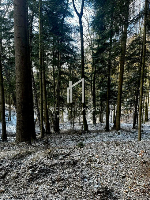 Działka leśna Pietrusza Wola gm. Wojaszówka