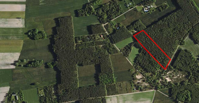 Działka leśna w miejscowości Łopacin