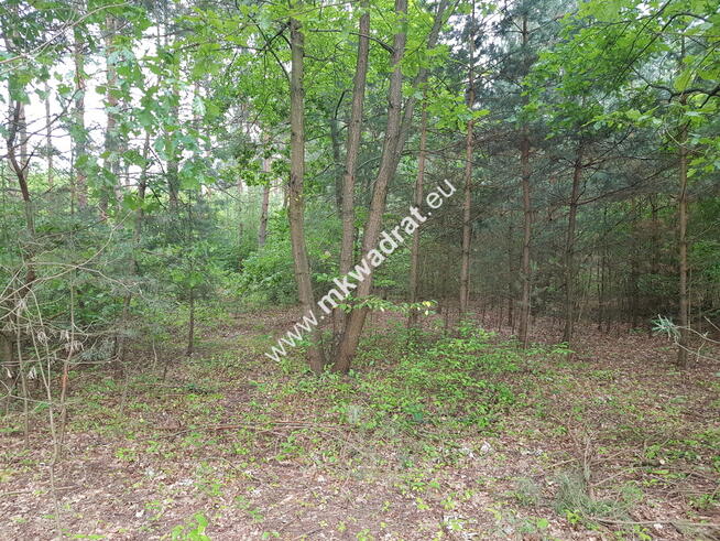 Działka 2000m 2 Musuły Okazja !!