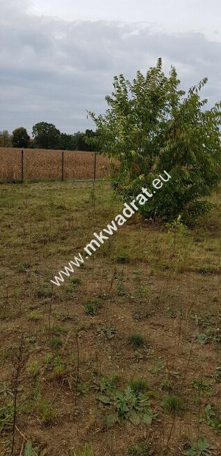 ⭐⭐⭐⭐⭐ Ustawna 1500m2 w cichej okolicy 45mx33m⭐⭐⭐⭐⭐