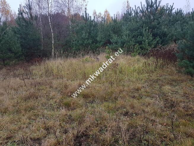 ⭐⭐⭐⭐Urokliwa działka przy lesie MPZP Media ⭐⭐⭐⭐