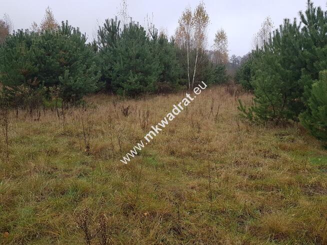 ⭐⭐⭐⭐Urokliwa działka przy lesie MPZP Media ⭐⭐⭐⭐