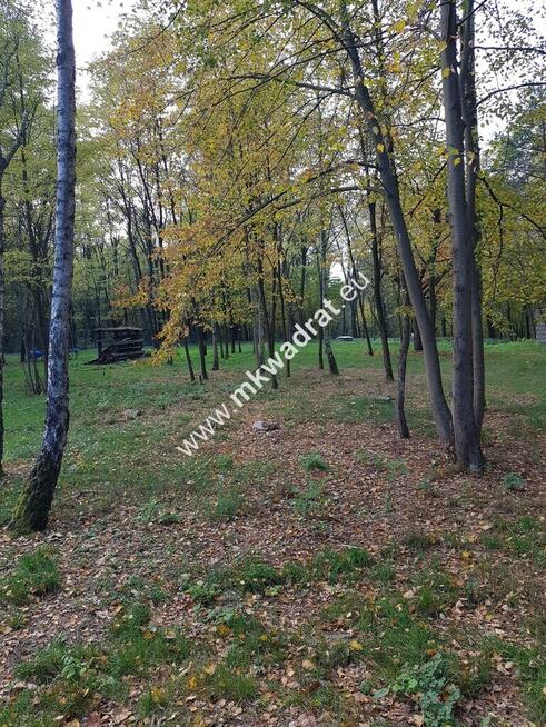 ⭐⭐⭐⭐ Super Działka z dostępem do rzeczki ⭐⭐⭐⭐