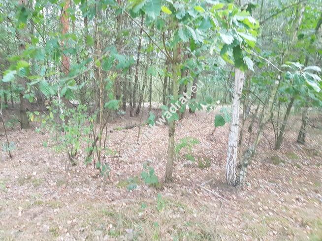 Działka przy drodze gminnej z MPZP